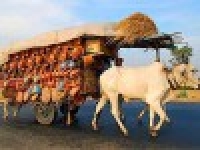 Magical Angkor 3 days