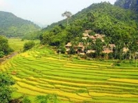 Vietnam incentive 8 days