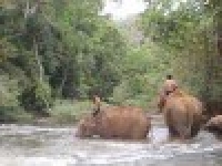 Mondulkiri tours 11 days